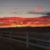 Bella Tapia - @bella17717 - TikTok