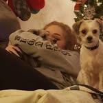 bella & tate - @rachsdogs - Instagram