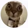 Bella - @bella.tipton_21 - TikTok