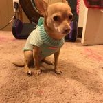 Bella - @tiptonarabella27 - Instagram