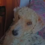 Bellita - @bella_uyok_ - Instagram