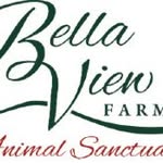 Bella View Farm Sanctuary - @bellaviewfarm_animal_sanctuary - Instagram