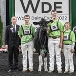 Bella-View Holsteins - @bellaviewholsteins - Instagram