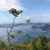 BellaView - @bellaview - TikTok