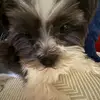Bellaaaa - @bella.vincent_pink - TikTok