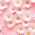 Bella Wall - Facebook