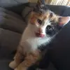 bella - @bella.wallacee - TikTok