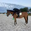 Bella - @bella.walters16 - TikTok