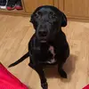 bellawalters70 - @bellawalters70 - TikTok