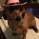 Bella Ware - @bella_ware - Instagram