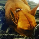 bella - @_bella_warner - Instagram