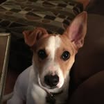 Bella Warner - @bella_boo_warner - Instagram