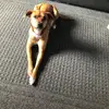 Bella Warner - @bella_the_best343 - TikTok