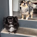 Bella B. Warren - @bellabw01 - Instagram