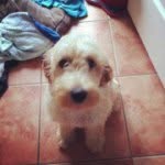 Bella - @bellaweaver - Instagram