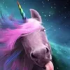 bellawebster - @dhdbesb - TikTok