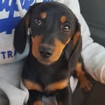 Bella - @bella_weiner - Instagram