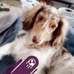 Bella Weiner - Facebook