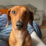 @bellaweiner2 - Instagram