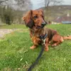 clarethomas691 - @bellaweiner22 - TikTok