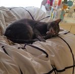 Bella Wheeler - Facebook