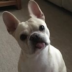 Stella Bella Willis - Facebook