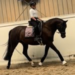 BellaWinterstein - @bella_winterstein - Instagram