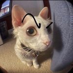Bella Woods - @_.d34thnote._ - Instagram