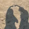 bella.yanovsky - @bella.yanovsky - TikTok