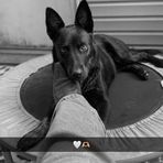 Bella Yates - Facebook