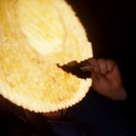 Clarebelle Atkinson - @clarebelleatkinson - Instagram