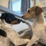 Belle & Bailey - @bellebailey_ - Instagram