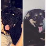 Belle & Bailey - @belle_and_bailey - Instagram