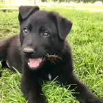 Beauty & the Bear - @belle.and.barrett - Instagram