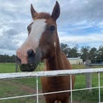 Belle Barron - Facebook