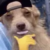 .bellebarron - @.bellebarron - TikTok