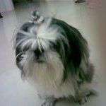 Belle Chang - @belle555chang - Instagram