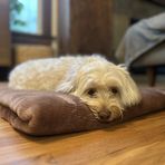 Bella Craig - Facebook
