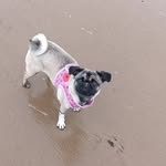 Lola-Belle Craig - @lola.belle803 - Instagram