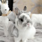 Belle Lane - @bellelane123 - Instagram