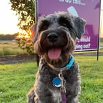 Luna - @luna.belle.lowe - Instagram