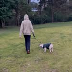 Bo belle marks - @bobellemarks - Instagram