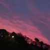 bella ross - @bella.ross47 - TikTok