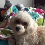 Belle Walker - @bellarina_one - Instagram