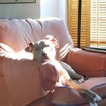 Belva Parker - @belva.parker.5 - Instagram