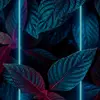 benabebe - @jbkart - TikTok
