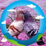 Benjr Acoba - Facebook