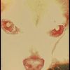 Ben Adair - @benadair0 - TikTok