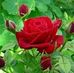 Benade - Facebook