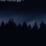 Ben J. Adelman - @ben.j.adelman - Instagram